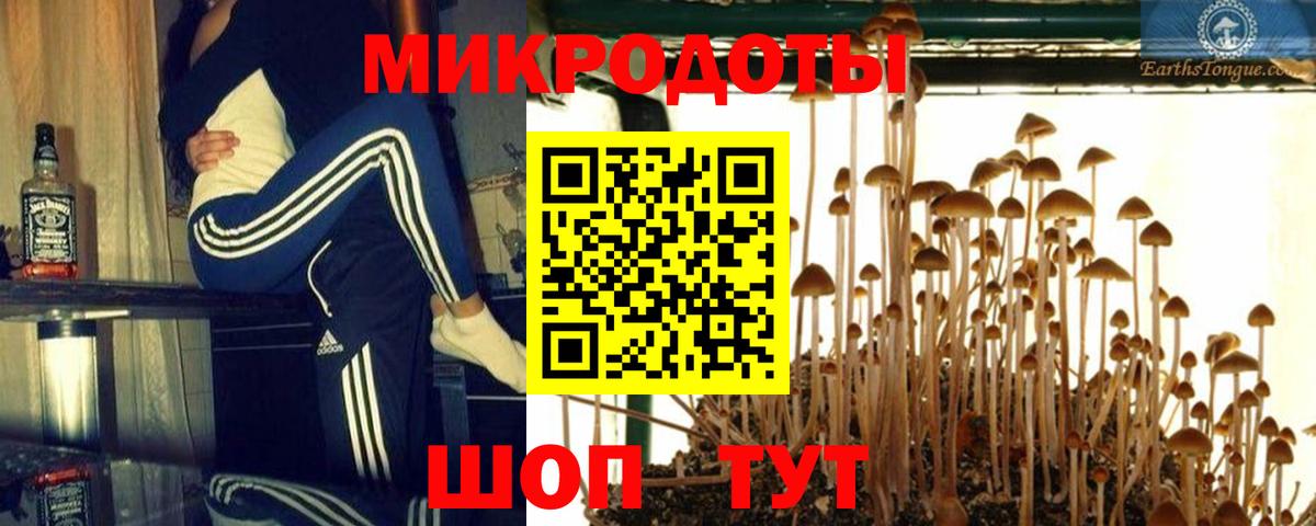Галлюциногенные грибы ЛСД  Галлюциногенные грибы Magic Shrooms  Вход с VPN  Батайск 
